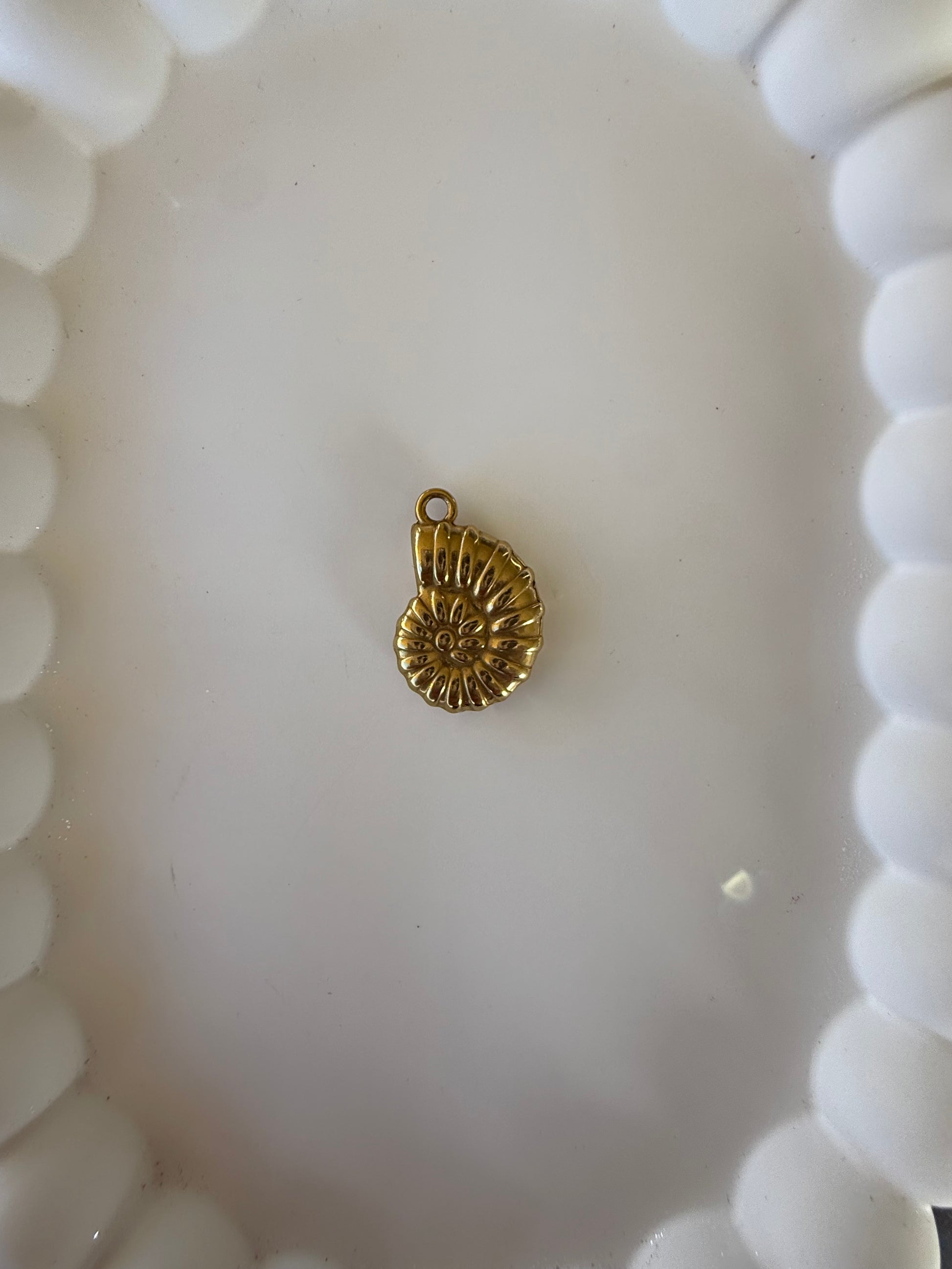 Nautilis Charm